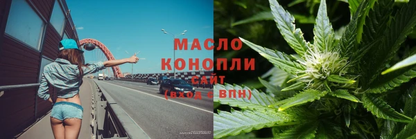 твердый Дмитровск